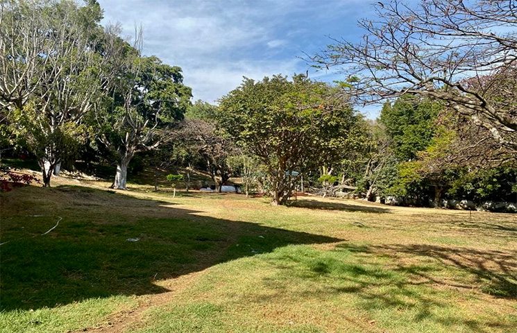 Bella Vista
